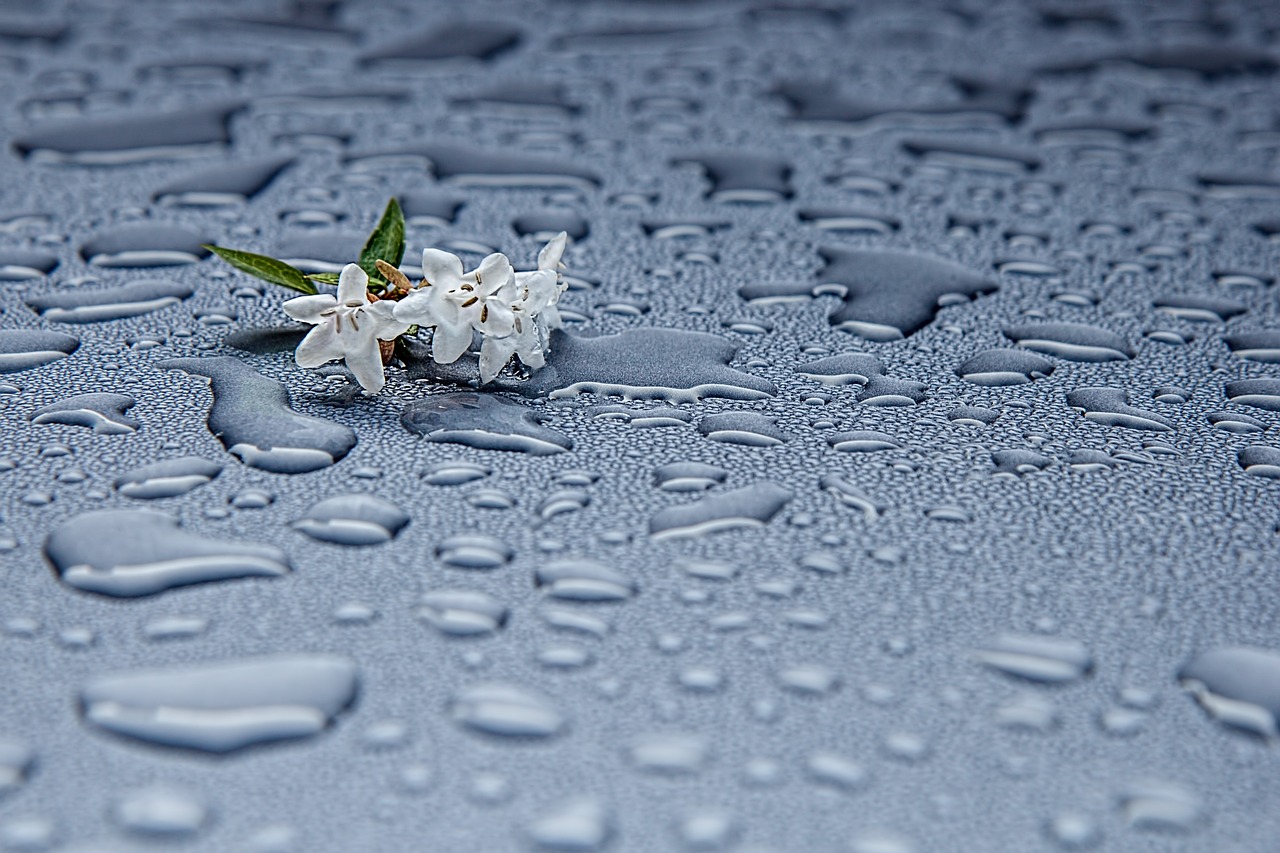 Setup Your Own Rainwater Harvesting System for an Eco-Garden